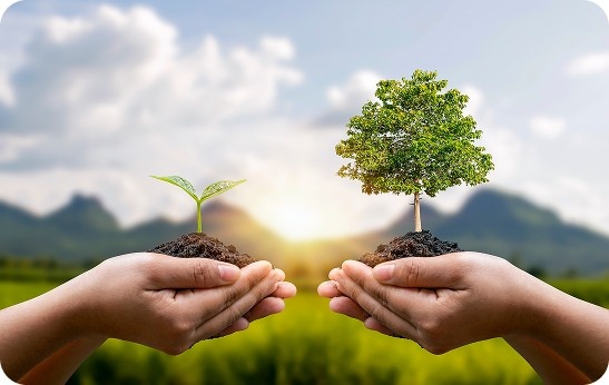 Environmental Responsibility